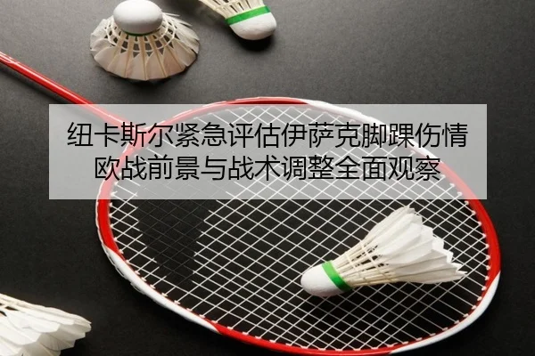 纽卡斯尔紧急评估伊萨克脚踝伤情 欧战前景与战术调整全面观察